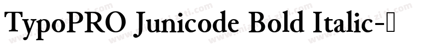 TypoPRO Junicode Bold Italic字体转换